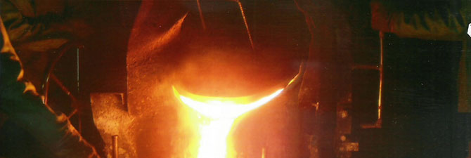 Metalex